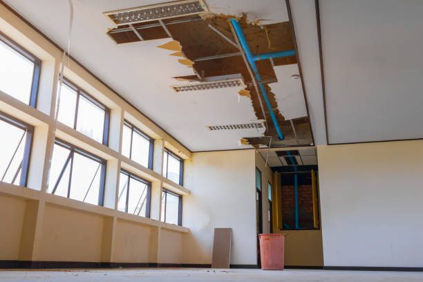Best Sewage cleanup and water damage restoration  in Breinigsville, PA