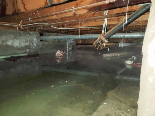 Best 24-hour water damage restoration  in Breinigsville, PA