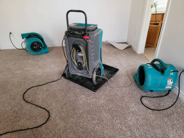 Best Flood damage cleanup  in Breinigsville, PA
