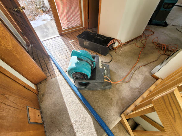 Best Carpet water damage restoration  in Breinigsville, PA