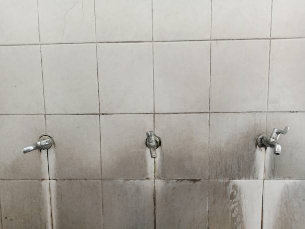 Best Flood restoration services  in Breinigsville, PA
