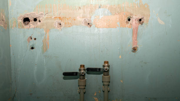 Best Fire Damage Restoration  in Breinigsville, PA