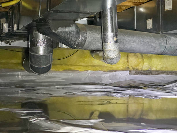 Best Ceiling water damage repair  in Breinigsville, PA