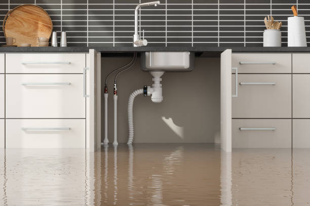 Best Emergency water damage restoration  in Breinigsville, PA