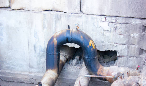 Best Local water damage restoration  in Breinigsville, PA