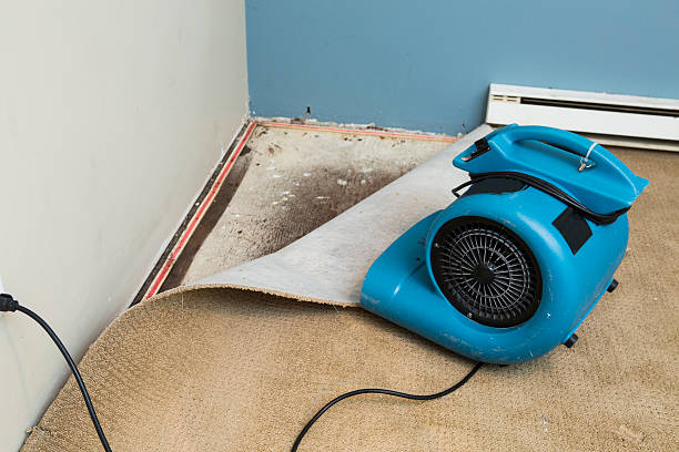Best Basement water damage restoration  in Breinigsville, PA